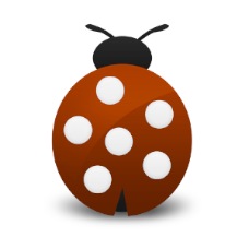 ladybug-big